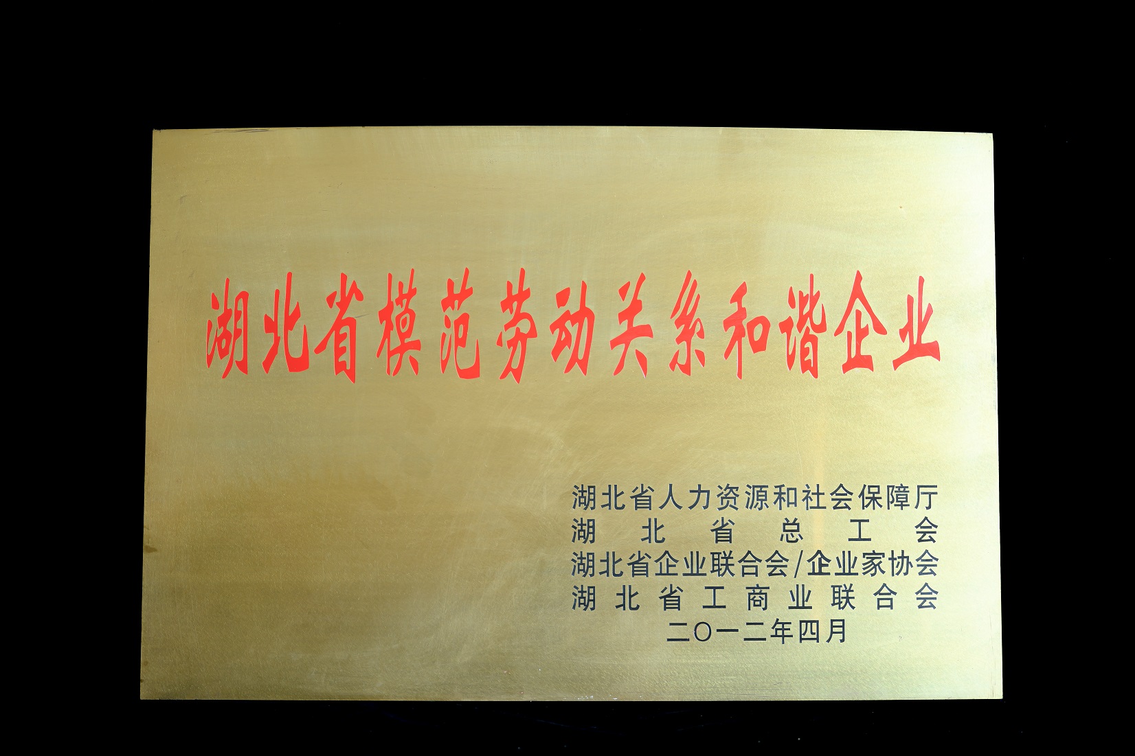 2022.4.27. 公交奖牌-2890.jpg