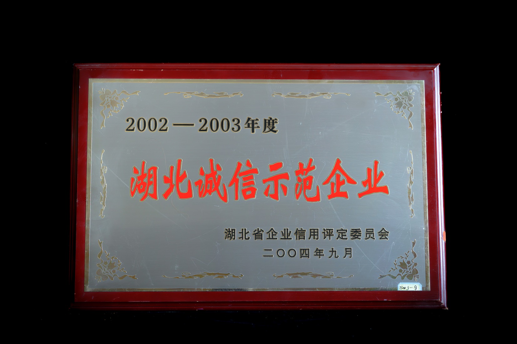 2022.4.27. 公交奖牌-2906.jpg