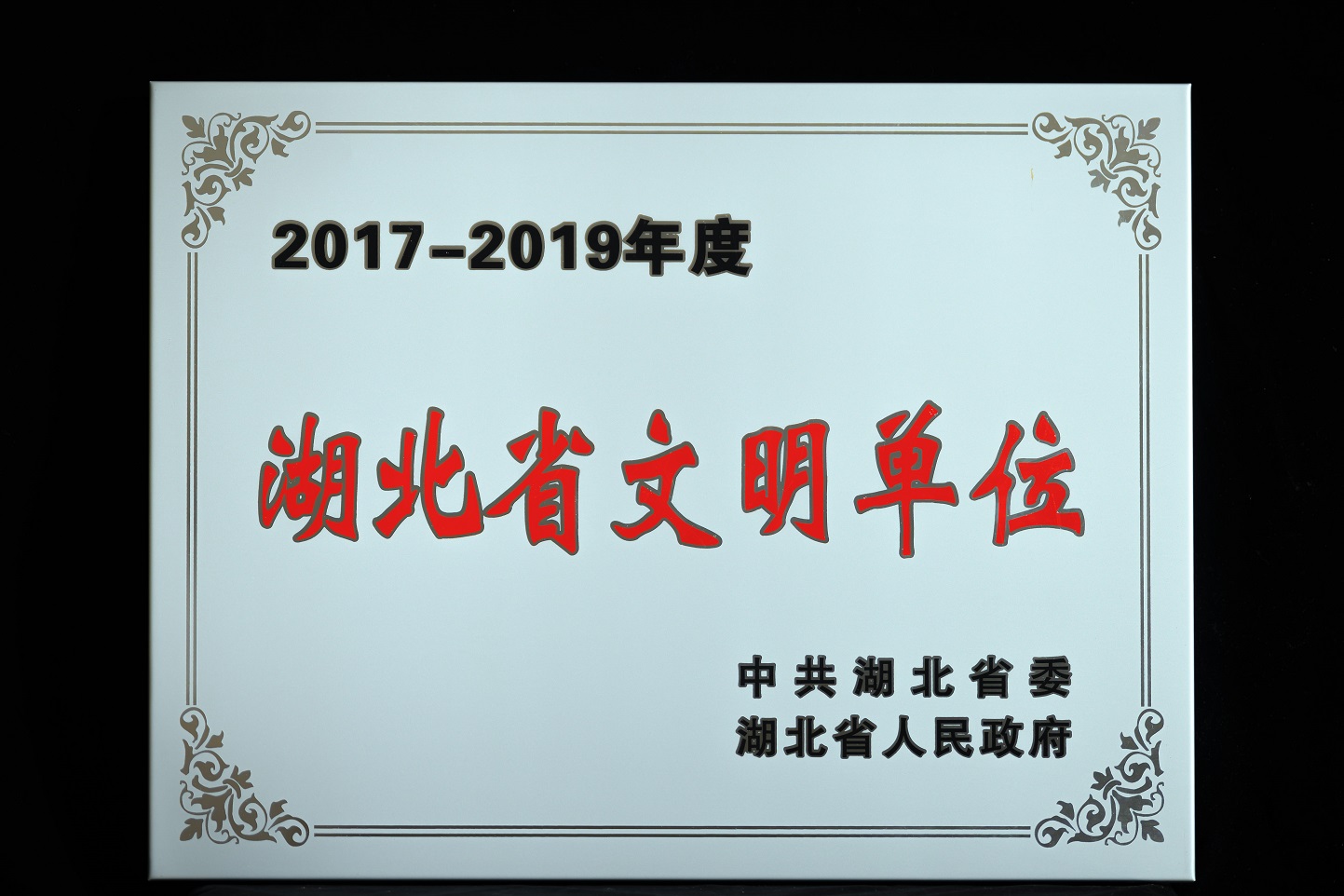 2022.4.27. 公交奖牌-2930.jpg